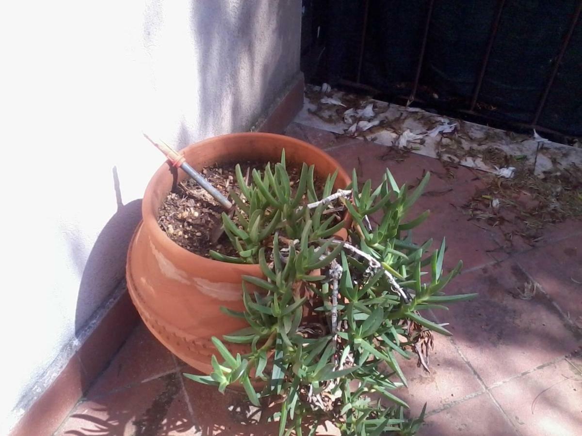 Sperone Hotel Mandra Capreria Luaran gambar